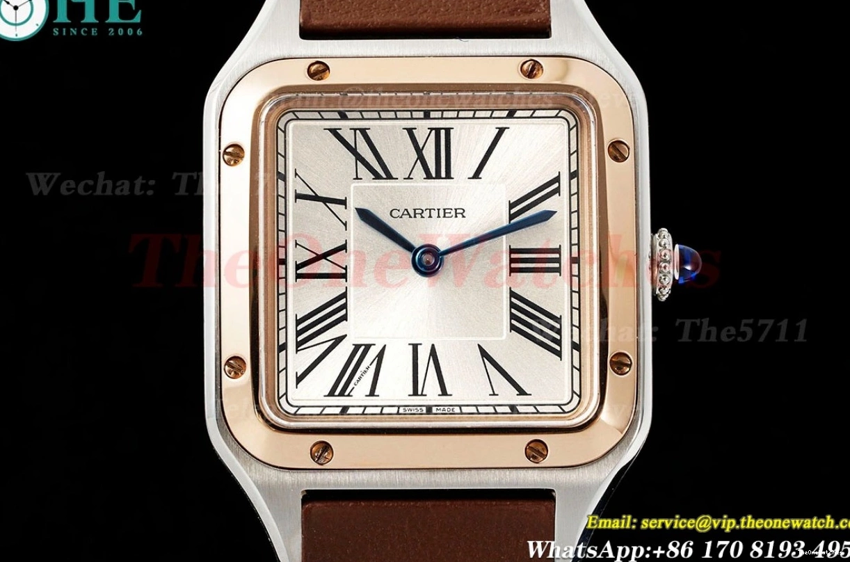 LE AF Dumont RG Silver Dial Brown Santos Quartz 1203